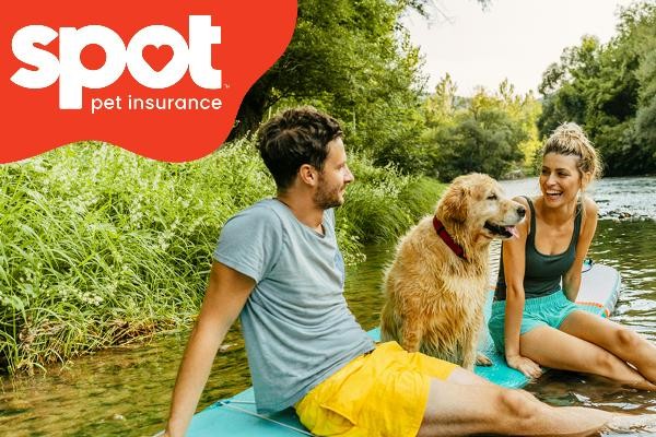 Spot pet insurance