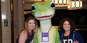 GEICO GCC